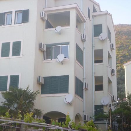 Apartman Ozi Petrovac エクステリア 写真