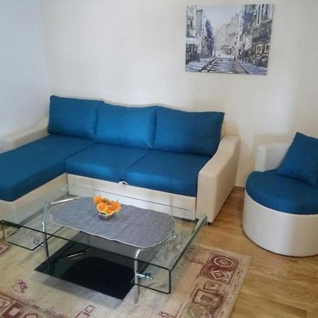 Apartman Ozi Petrovac エクステリア 写真