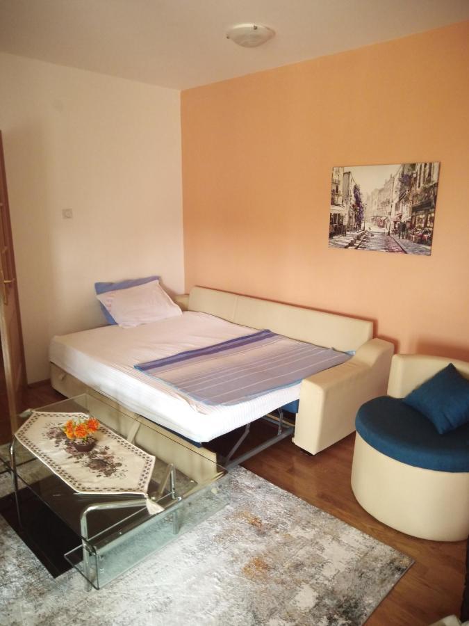 Apartman Ozi Petrovac エクステリア 写真