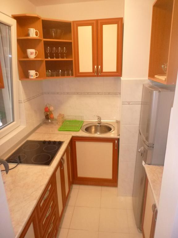 Apartman Ozi Petrovac エクステリア 写真