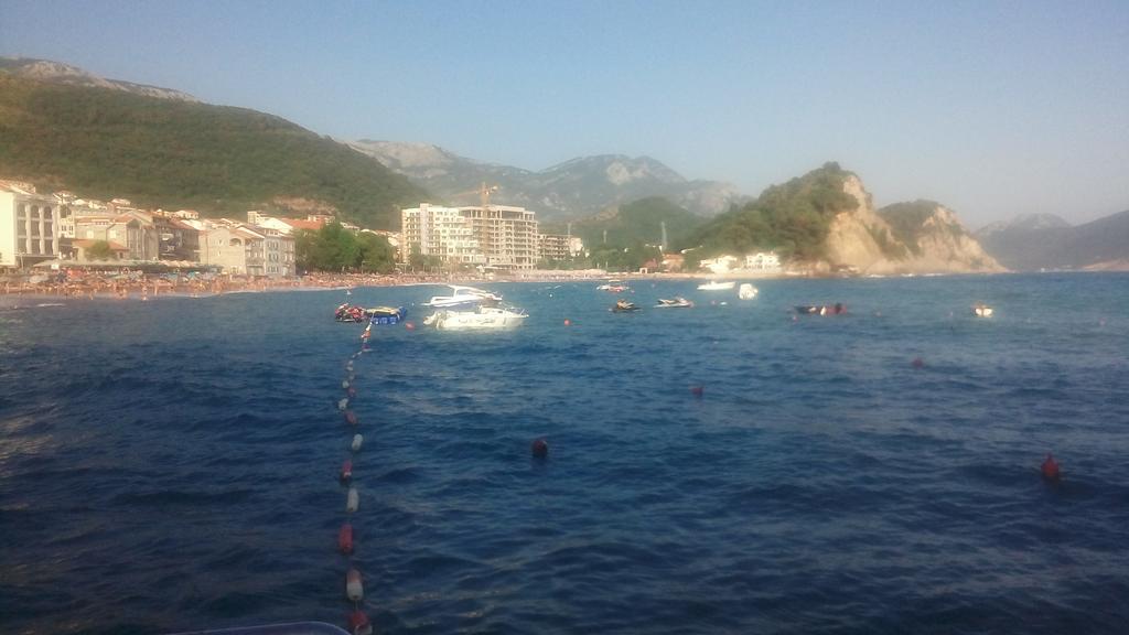 Apartman Ozi Petrovac エクステリア 写真